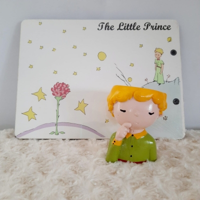 Küçük Prens Kendin Yap Albüm Ve Mini Saksı